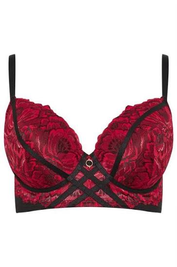 Plunge Bras