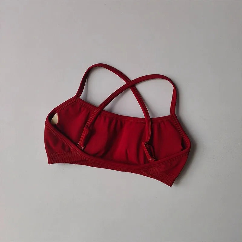 Red bikini top on a gray background