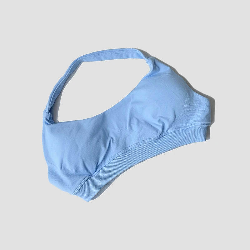 Seamless Halter Neck Strap Bra Sports Bra for Women Sexy Back Padded Yoga Top Bra Gym Crop Top
