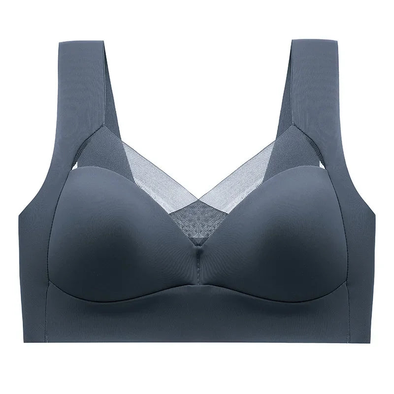 Gray bra on a white background