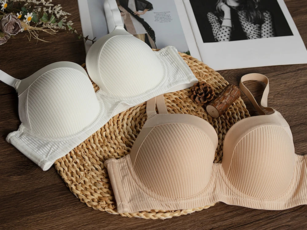 Sheroine Plus Size Push-Up T-Shirt Bra – Full Coverage