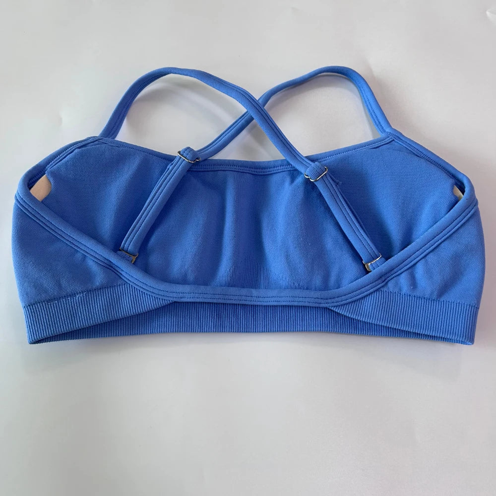 Blue sports bra on a white background